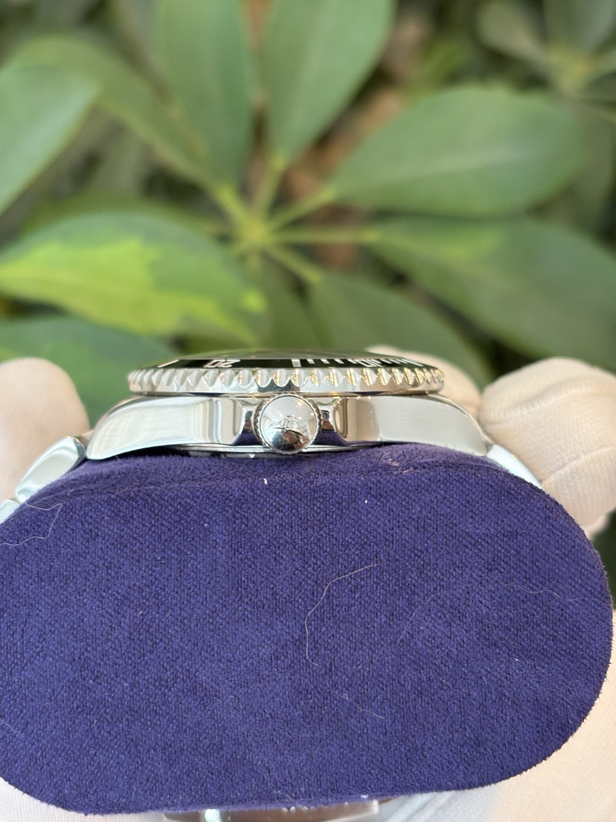 Squale 20 Atmos 1545 Y1545, photo 5